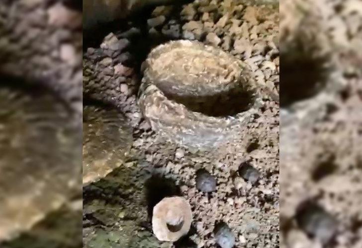 Çoban buldu! Bursa'da bilim dünyasını heyecanlandıran keşif G3