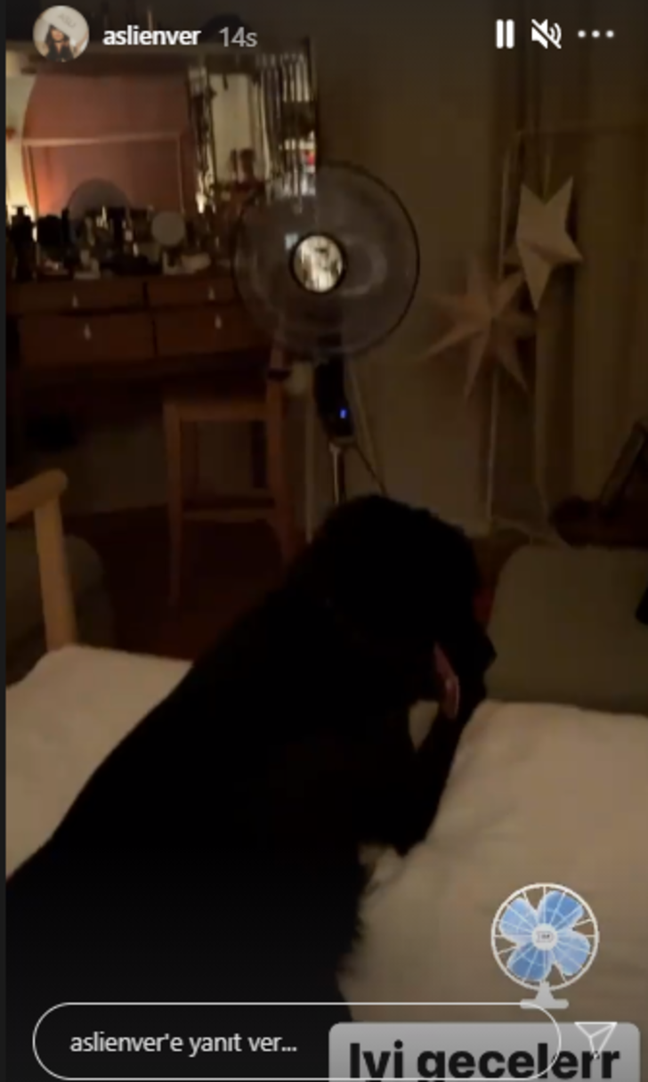 Sıcaktan bunalan Aslı Enver bakın ne yaptı! Enver'in o paylaşımı takipçilerini gülümsetti G1