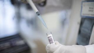 Japonya'da koronavirüse karşı antikor kokteylinin ülke içi kullanımını onaylandı