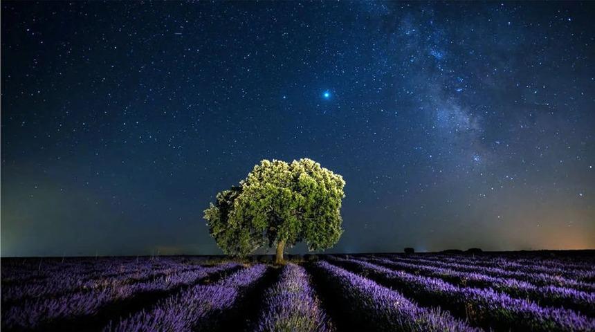 İnsanlığın galaktik medeniyet kurma r&uuml;yası: Geleceğin ve bug&uuml;n&uuml;n &ouml;ncelikleri birbiriyle &ccedil;elişiyor mu?