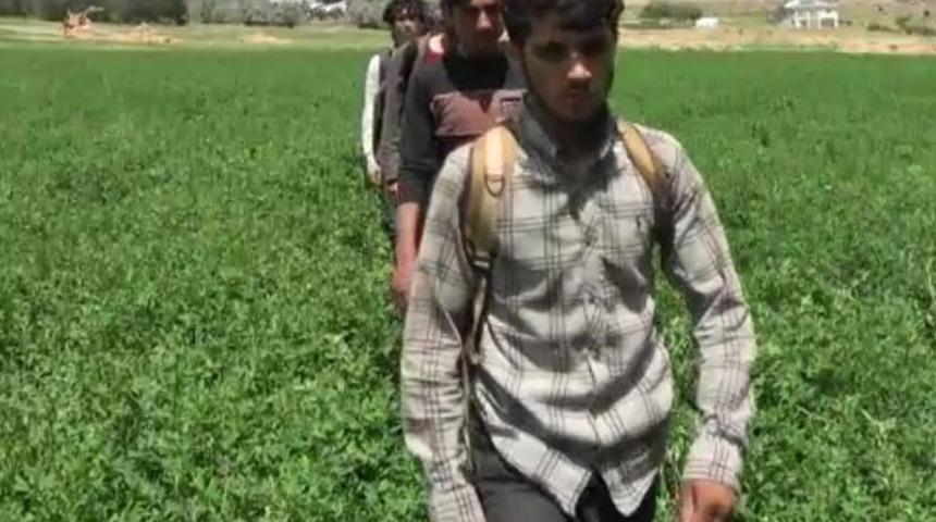 Van'da 25 kaçak göçmen yakalandı, 6 organizatör tutuklandı