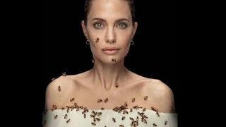 Angelina Jolie ilk arıcı kadınlara diplomalarını verdi 