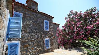 Türkiye'nin en büyük adası sağlıklı beslenmeyi tercih edenlerin yeni adresi olacak