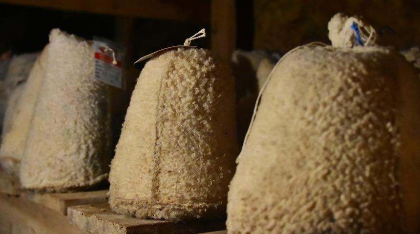 Rokfor peynirine rakip, Divle obruk peyniri! 6 ay mağarada bekletiliyor