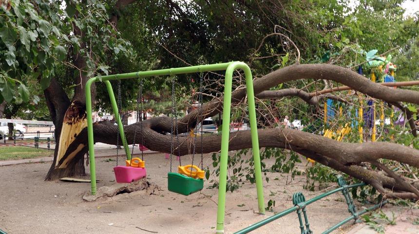 Korkutan olay! Çocuk parkında faciadan dönüldü