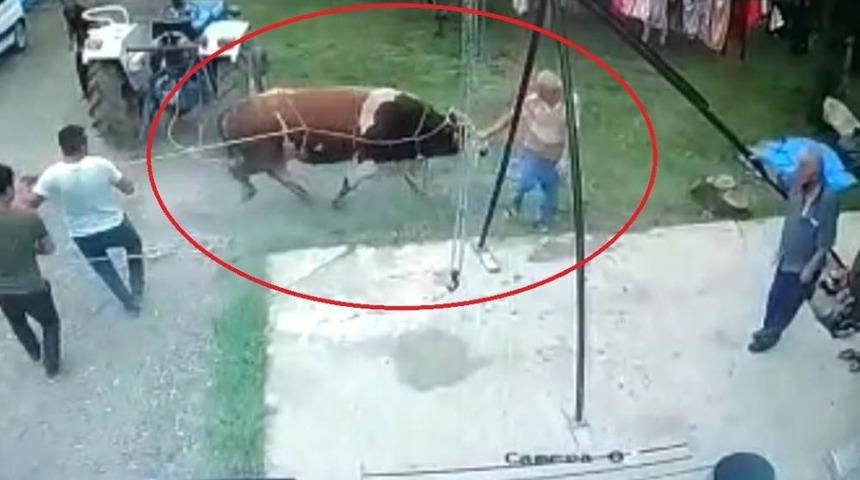 Kurbanlık boğanın saldırdığı kişi hayatını kaybetti