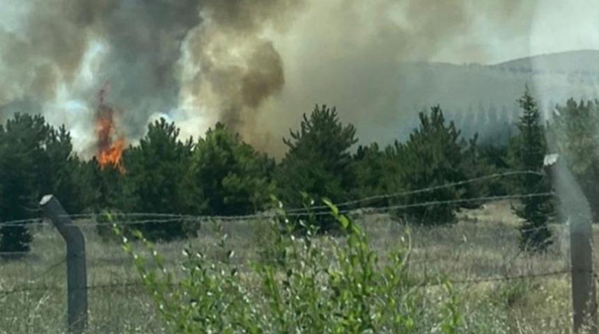 Atatürk Orman Çiftliği arazisinde yangın! Mansur Yavaş olay yerine gitti