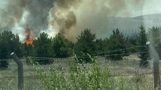 Atatürk Orman Çiftliği arazisinde yangın! Mansur Yavaş olay yerine gitti