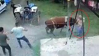 Kurbanlık boğanın saldırısıyla öldü! O anlar kamerada