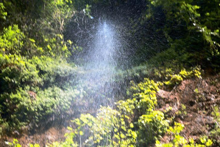 Sakarya'daki Maden Deresi ve Şelalesi bayramda ziyaretçi akınına uğradı G2