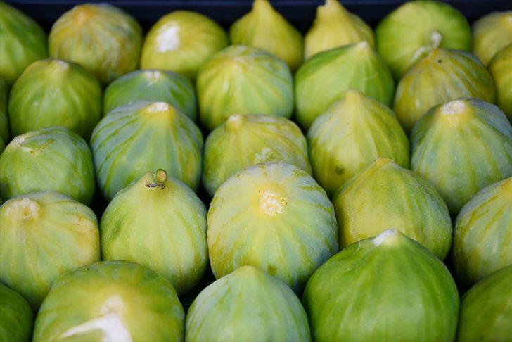 Manisa'da erkenci yediveren incirinde üretici ihracata yöneldi G2