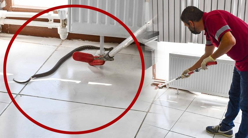 Eskişehir'de d&uuml;kkandan 1 metre uzunluğunda yılan &ccedil;ıkardılar!