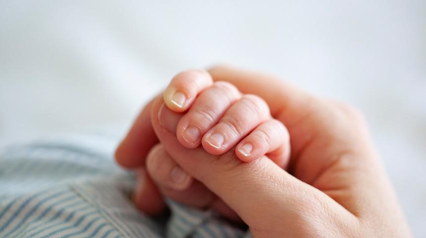 Kaliteli anne sütü için nasıl beslenmeli, hangi gıdaları tüketmeli