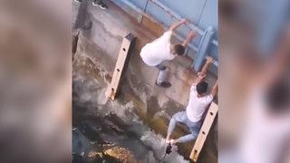 Haliç'e düşen yavru kediyi denizden ayaklarıyla kurtardı