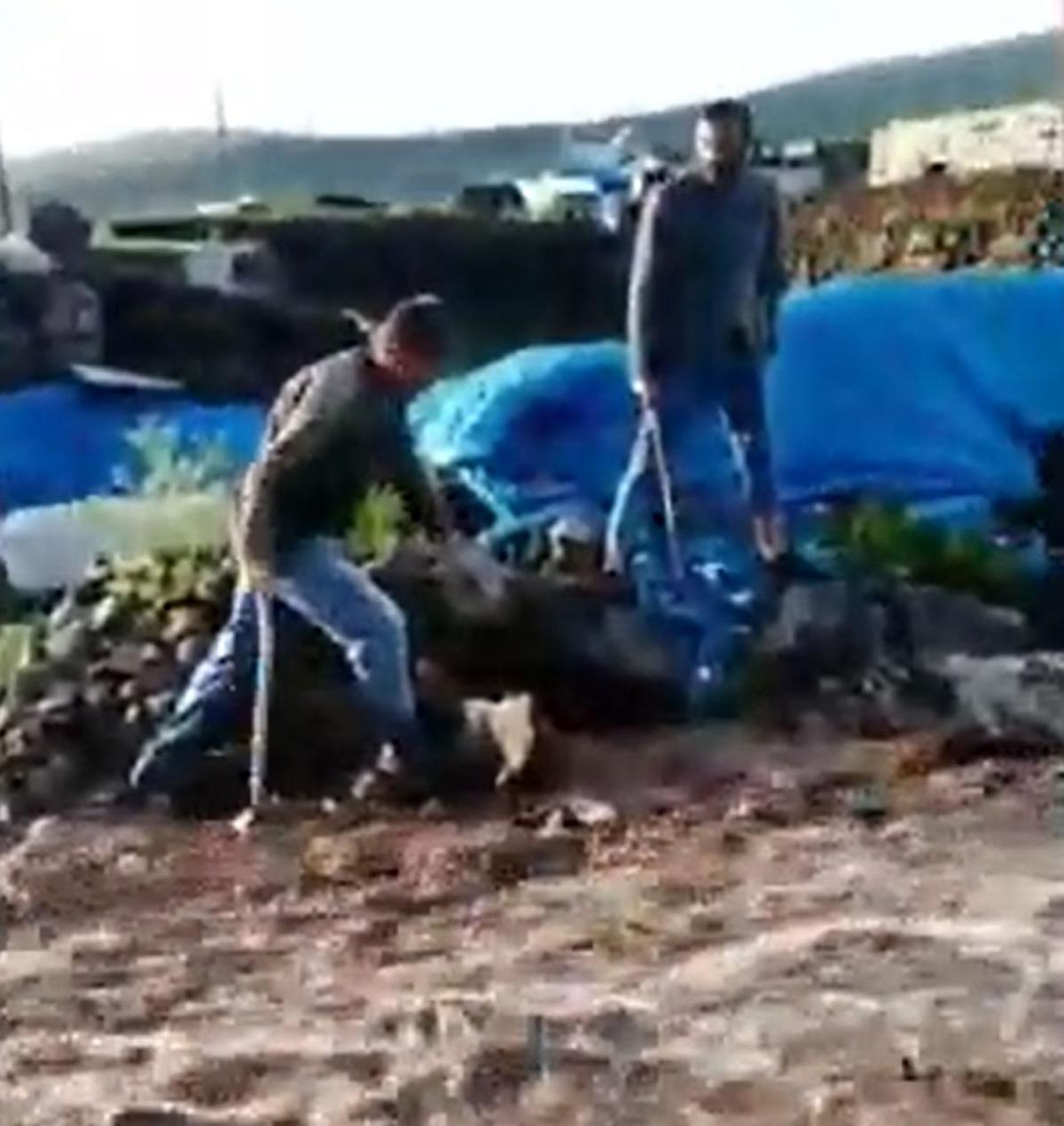 Dolu il&ccedil;eleri beyaza b&uuml;r&uuml;d&uuml;, sağanak sele d&ouml;n&uuml;şt&uuml;