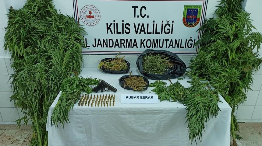 Kilis'te evlerinin bahçesinde Hint keneviri yetiştirdikleri öne sürülen 2 zanlı tutuklandı