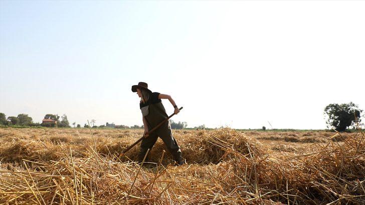 Merve öğretmen hayvancılığa başlayarak babasının hayallerini gerçekleştirdi G3