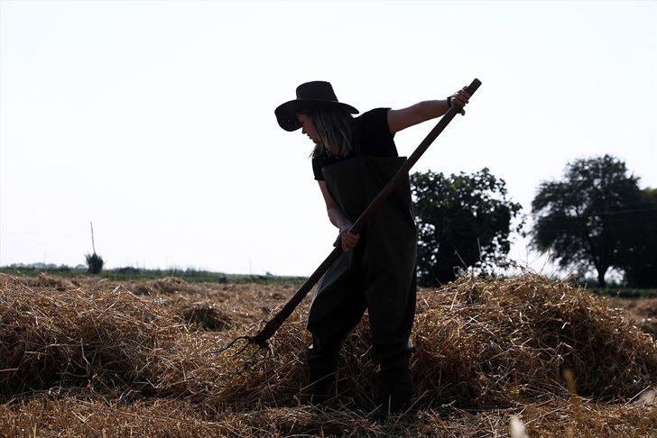 Merve öğretmen hayvancılığa başlayarak babasının hayallerini gerçekleştirdi G4