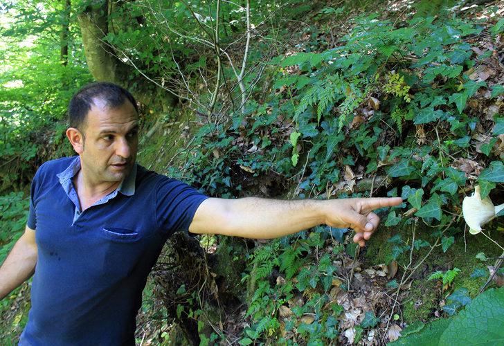 Doğada az bulunuyor! Kırmızı tirmite paha biçilemiyor G4