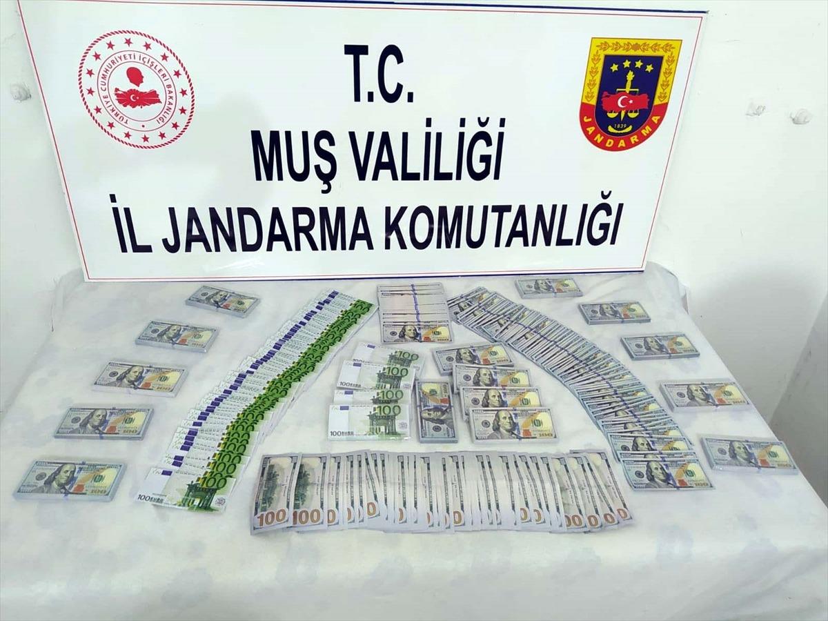 Muş'ta sahte d&ouml;viz operasyonu
