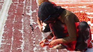 Diyarbakır'da çöpe gidiyordu şimdi İtalya Almanya Fransa ABD'ye satılıyor