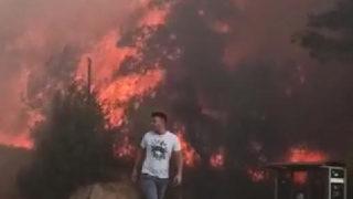 Adana'da korkutan orman yangını