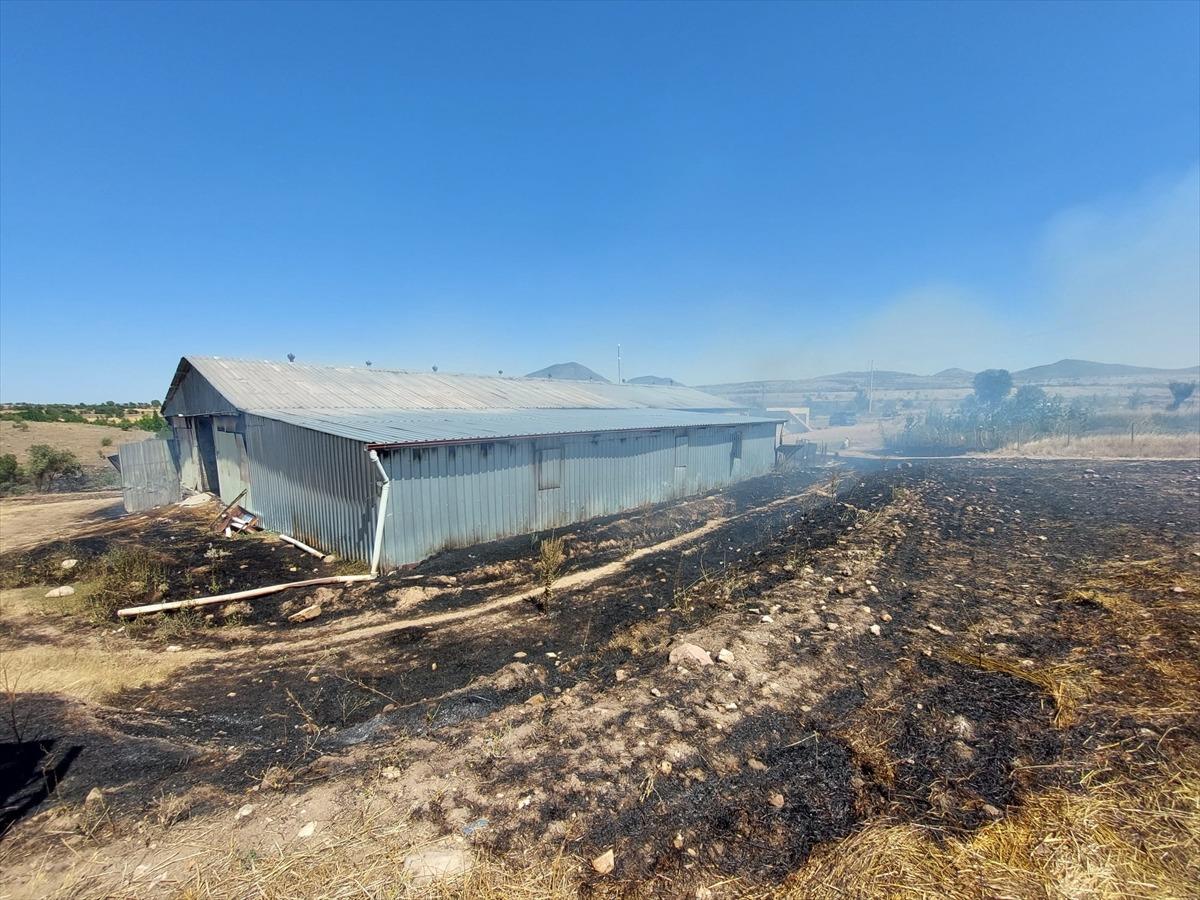 Uşak'ta yangında 55 k&uuml;&ccedil;&uuml;kbaş hayvan telef oldu