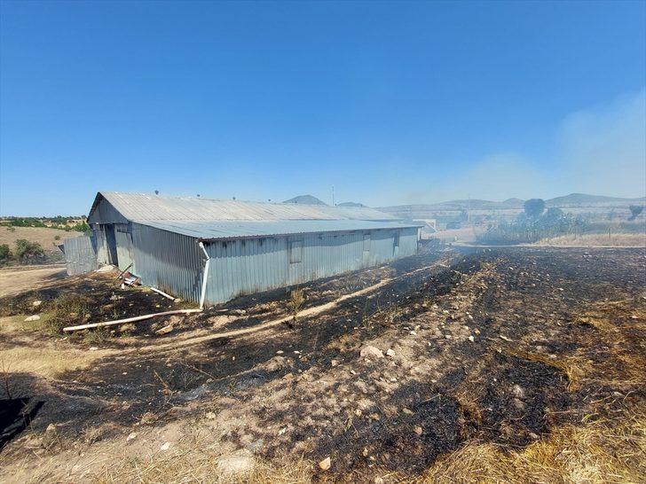 Uşak'ta yangında 55 küçükbaş hayvan telef oldu G1