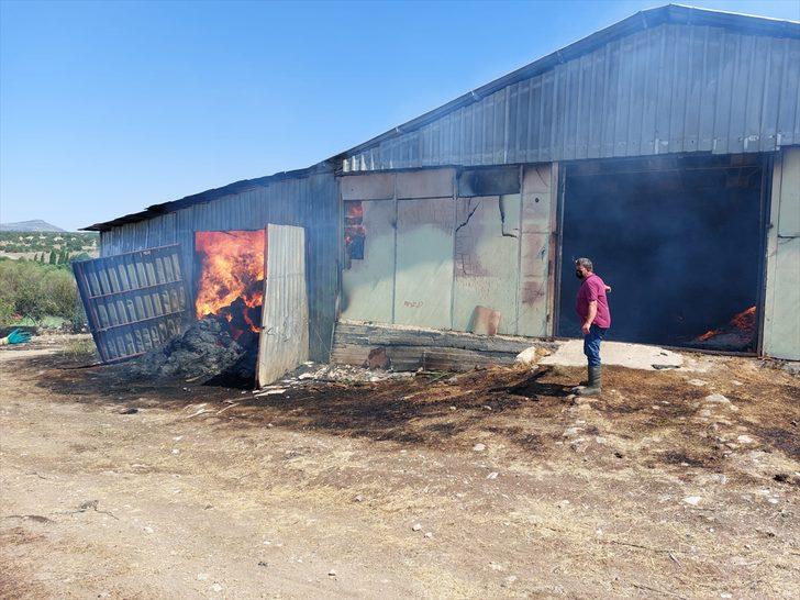 Uşak'ta yangında 55 küçükbaş hayvan telef oldu G2