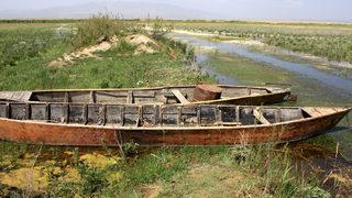 Eber Gölü'nde yürek burkan görüntü! Büyük pişmanlık: O da canlıymış, bilemedik