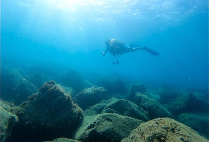 Doğu Akdeniz'deki fay kırığı deniz canlılarına yuva oldu G1
