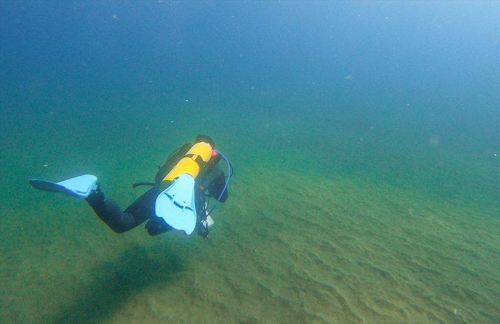 Doğu Akdeniz'deki fay kırığı deniz canlılarına yuva oldu G2