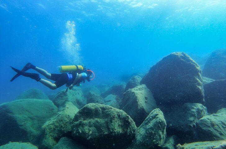 Doğu Akdeniz'deki fay kırığı deniz canlılarına yuva oldu G3