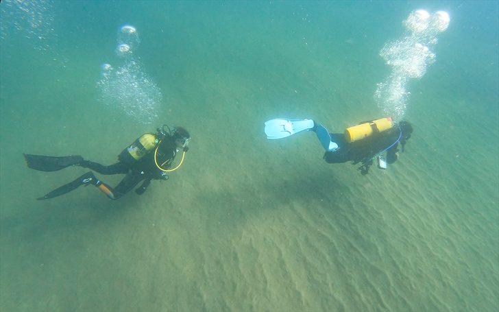 Doğu Akdeniz'deki fay kırığı deniz canlılarına yuva oldu G4