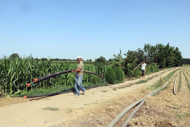 Edirne'de sıcaklar nehirlerin su seviyesini düşürürken tarımsal üretimi de olumsuz etkiliyor G3