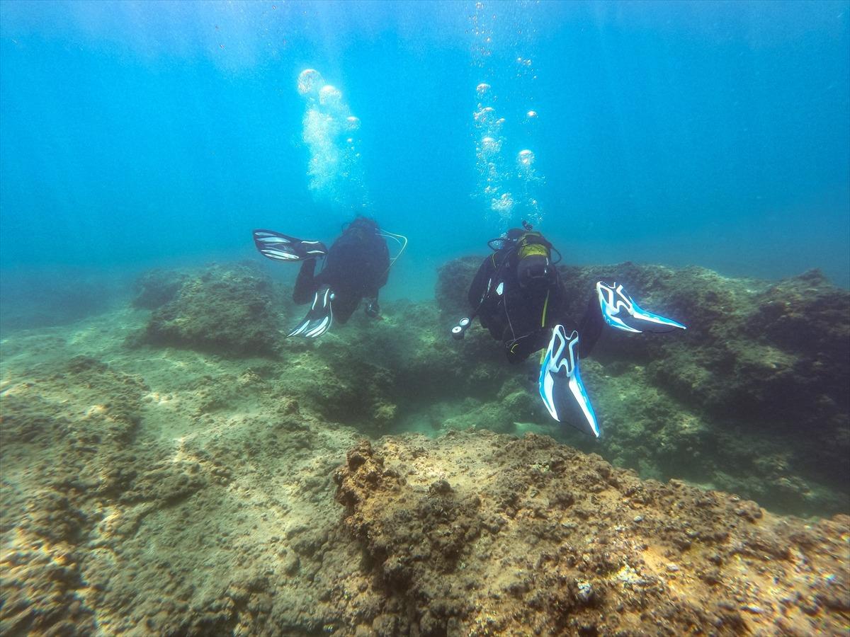 Doğu Akdeniz'deki fay kırığı deniz canlılarına yuva oldu