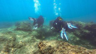 Doğu Akdeniz'deki fay kırığı deniz canlılarına yuva oldu