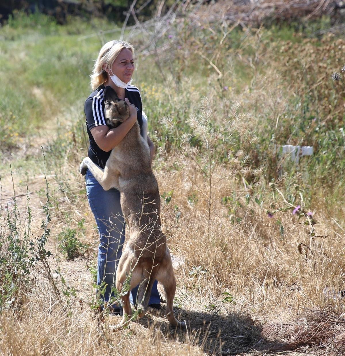 Eskişehir'de sokak hayvanlarını beslediği sırada darbedildiğini &ouml;ne s&uuml;ren kadın, hayvanları yalnız bırakmıyor