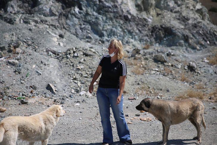 Eskişehir'de sokak hayvanlarını beslediği sırada darbedildiğini öne süren kadın, hayvanları yalnız bırakmıyor G2