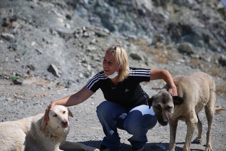 Eskişehir'de sokak hayvanlarını beslediği sırada darbedildiğini öne süren kadın, hayvanları yalnız bırakmıyor G3