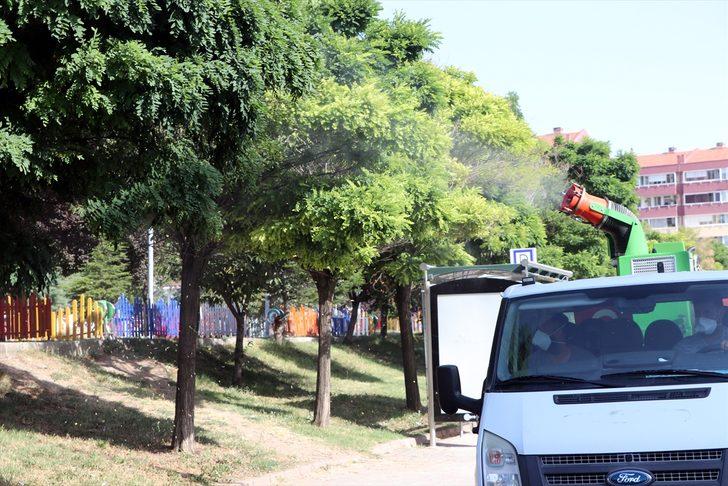 Edirne'de popülasyonu artan "dantel böceği"ne karşı ilaçlama çalışması başlatıldı G2