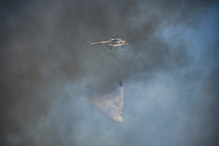 Adana Sarıçam'da çıkan orman yangınına müdahale ediliyor G1