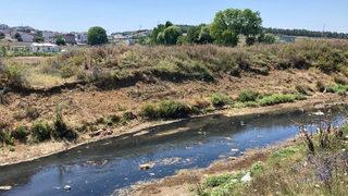 Alibeyköy Barajı'na dökülen dere siyaha büründü! Önceden çocuklar yüzüyordu, şimdi zehir saçıyor