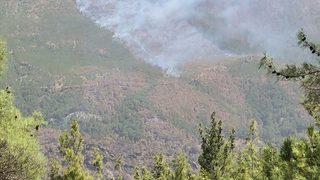 Mersin'de çıkan orman yangınına havadan ve karadan müdahale ediliyor