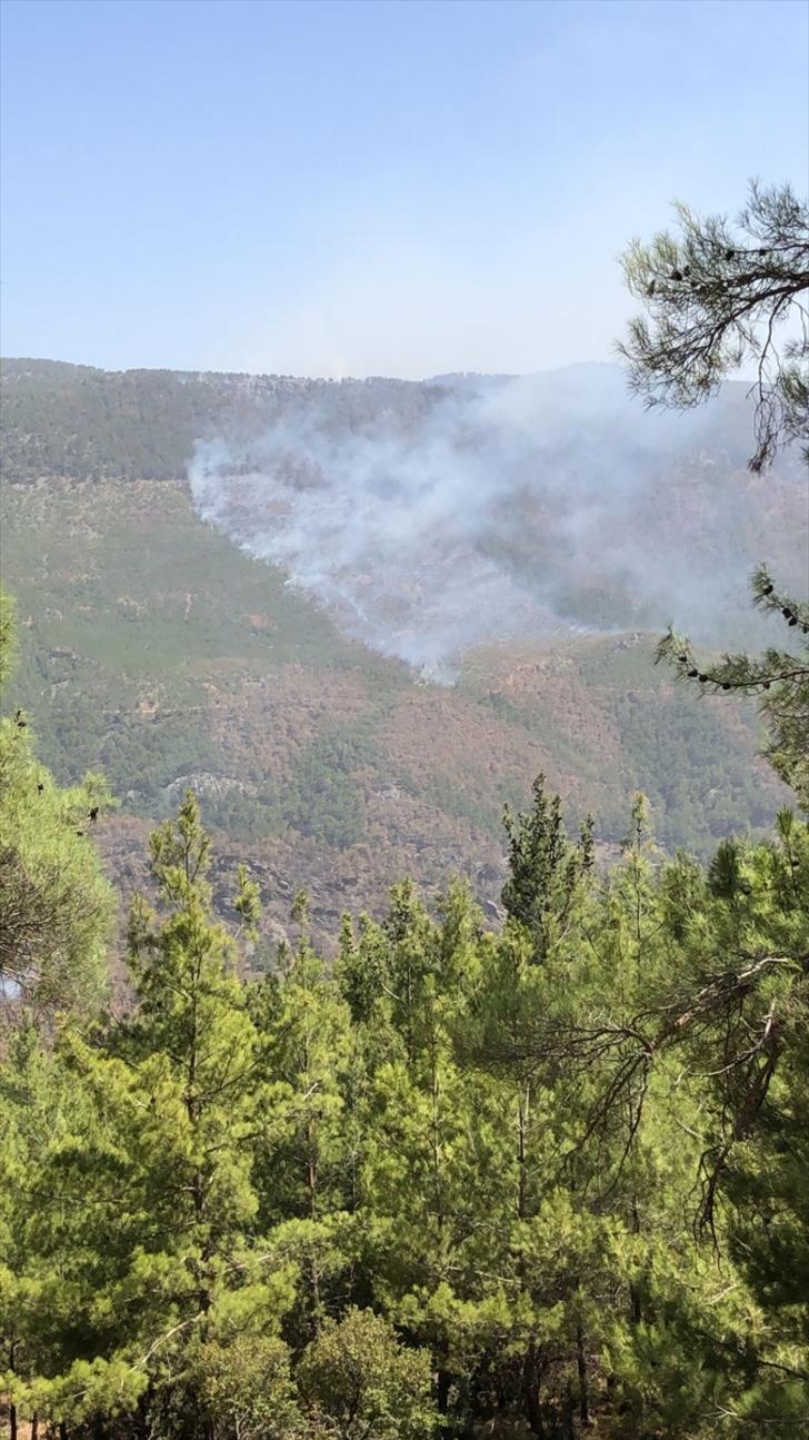 Türkiye için feci gün: Antalya'dan sonra 5 ayrı şehirde yangın çıktı G5