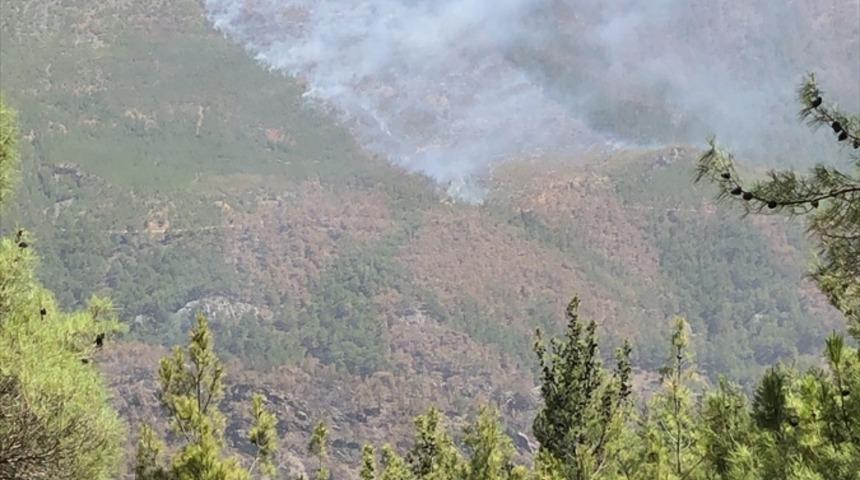 Mersin'de çıkan orman yangınına havadan ve karadan müdahale ediliyor