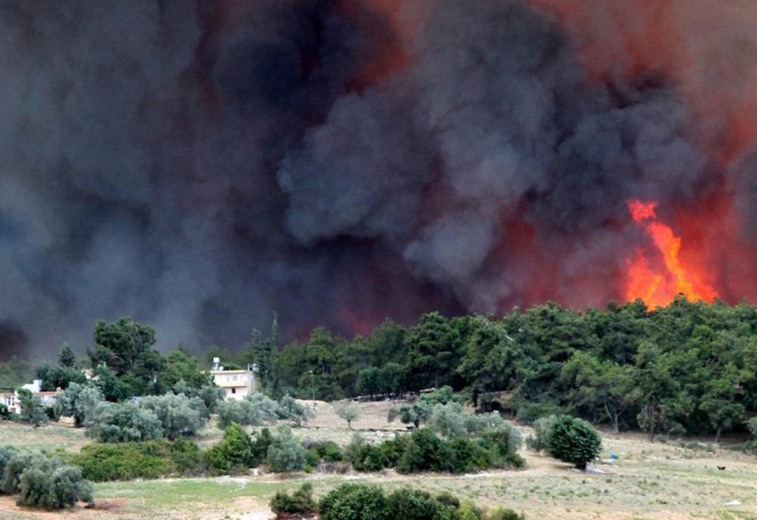 Manavgat'taki yangından kahreden g&ouml;r&uuml;nt&uuml;ler