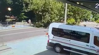 Düzce'de yürekleri ağza getiren anlar! Devrilen ağacın altında kalmaktan kıl payı kurtuldular