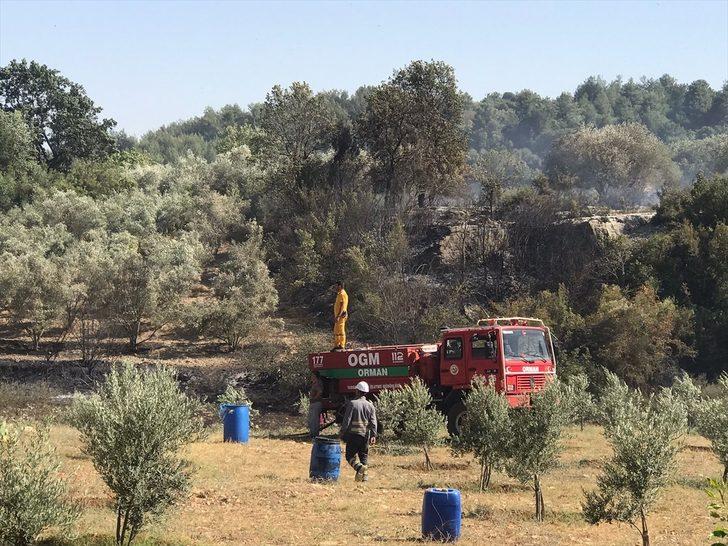 Mersin'de tarım arazisinde çıkan yangın söndürüldü G1