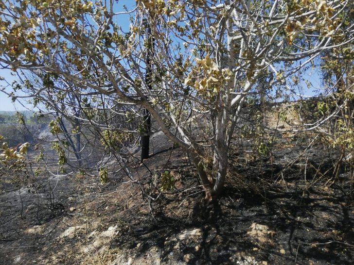 Mersin'de tarım arazisinde çıkan yangın söndürüldü G2